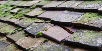 Bells Yew Green roof repair costs